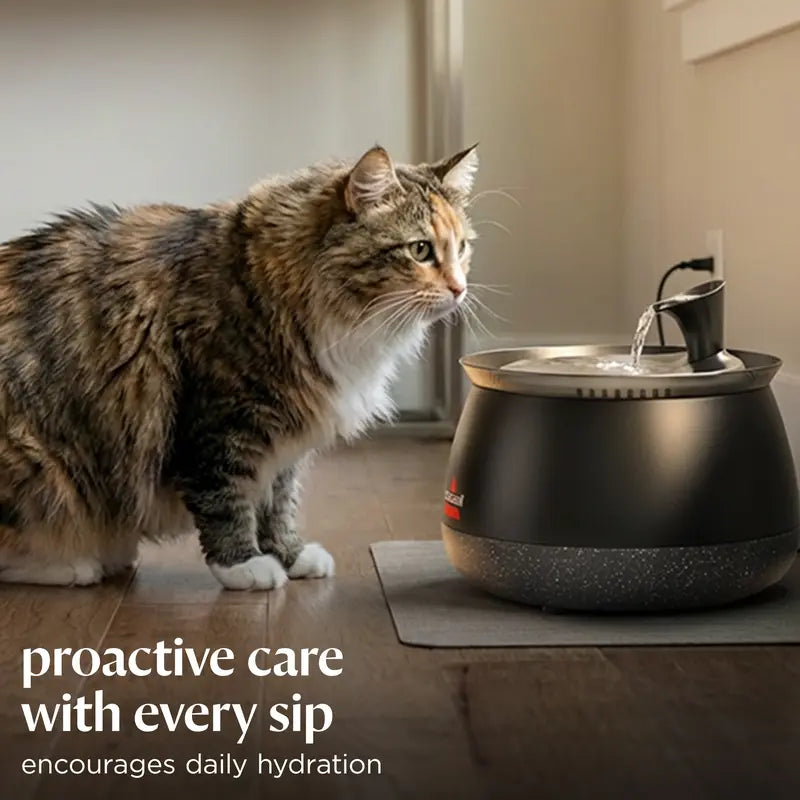 Cat Water Fountain – Fresh, Filtered Water with Ultra-Quiet Wireless Pump